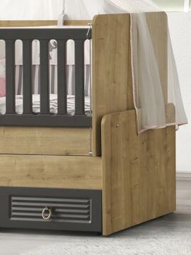 İkon Büyüyen Beşik Yavrulu